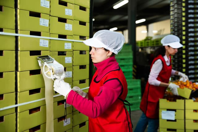 Personas etiquetando cajas en almacen de frutas